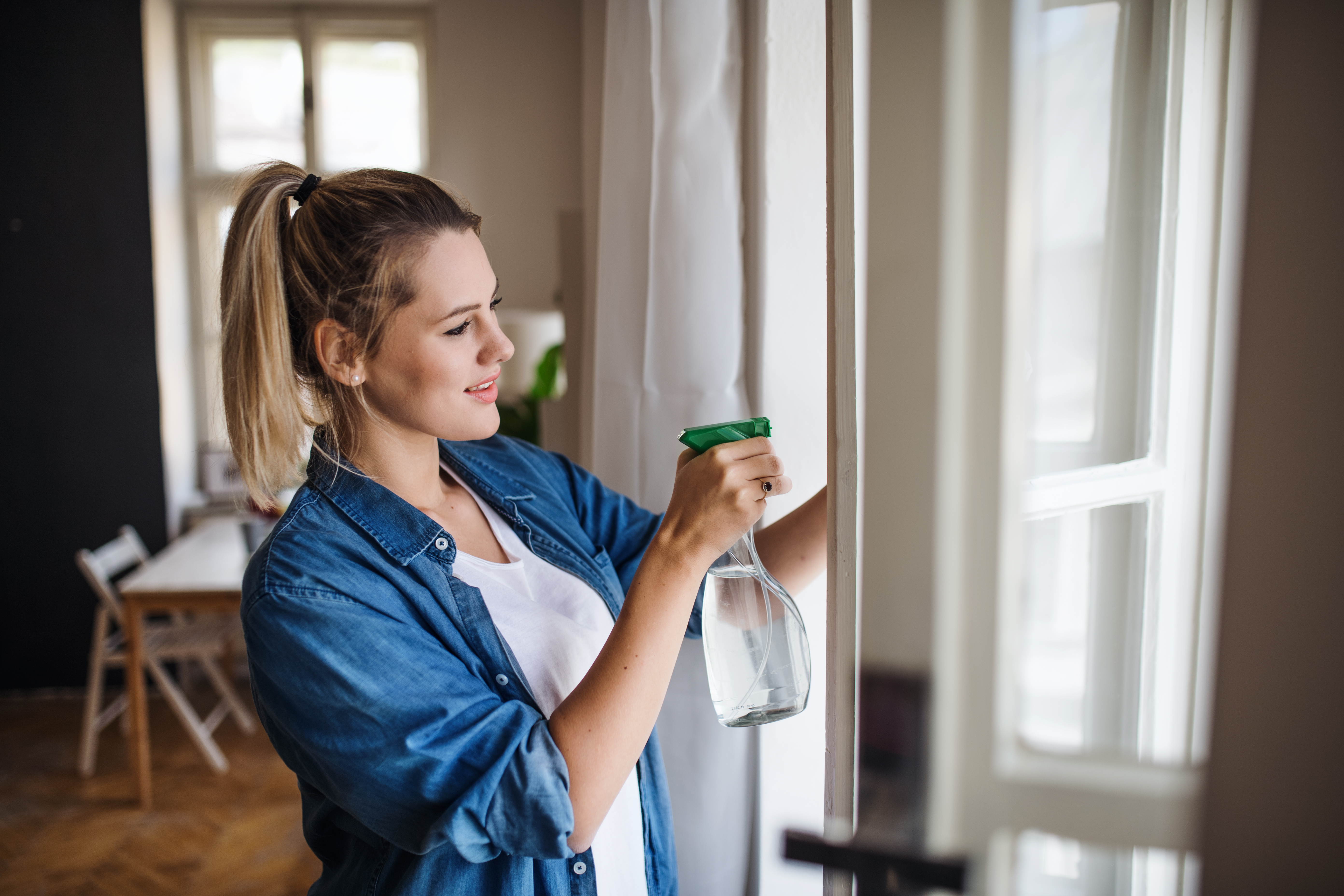 Cleaning indoor windows