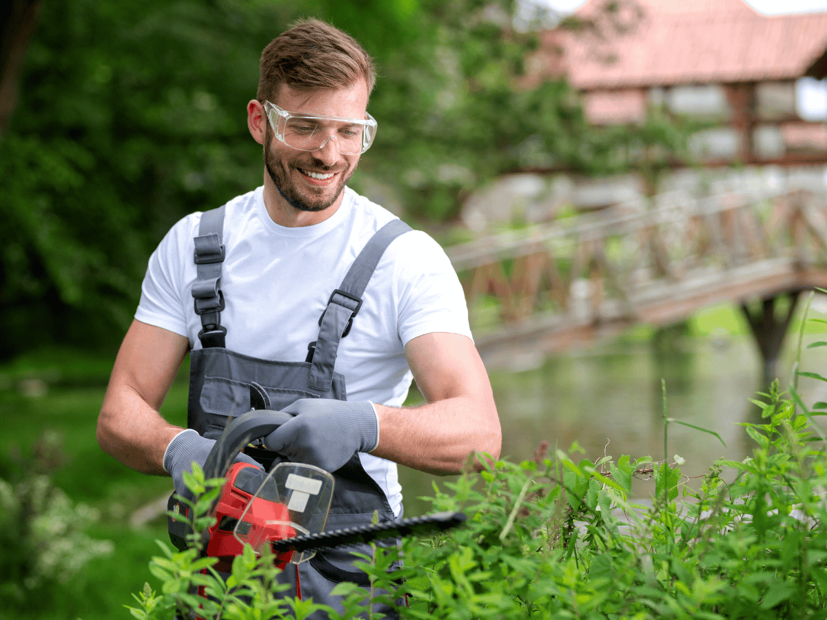 How much does hedge trimming cost? [October 2025]