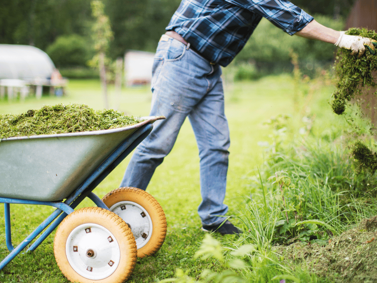 How much does garden clearance cost? [May 2026]