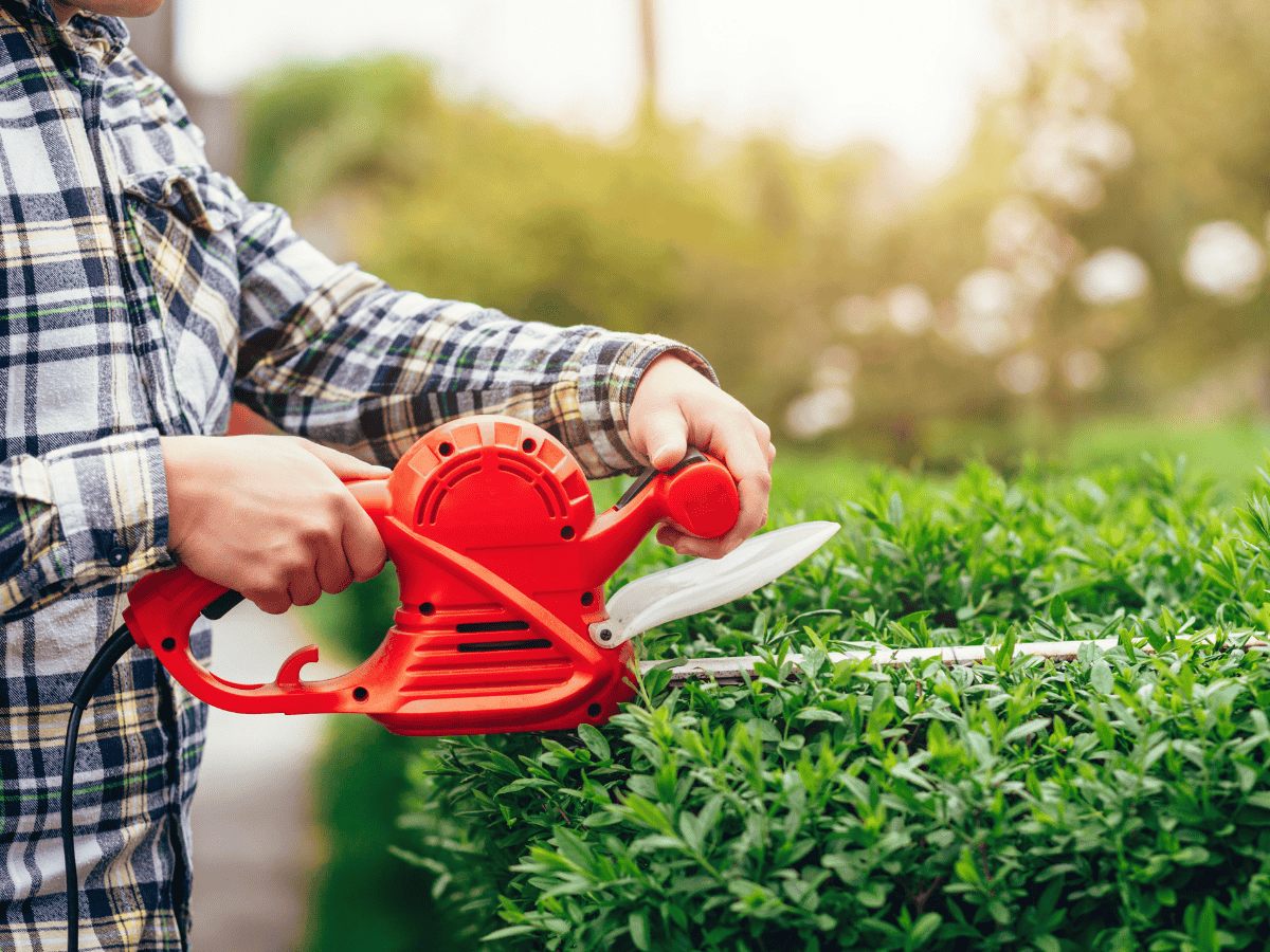 How much does garden maintenance cost? [October 2025]