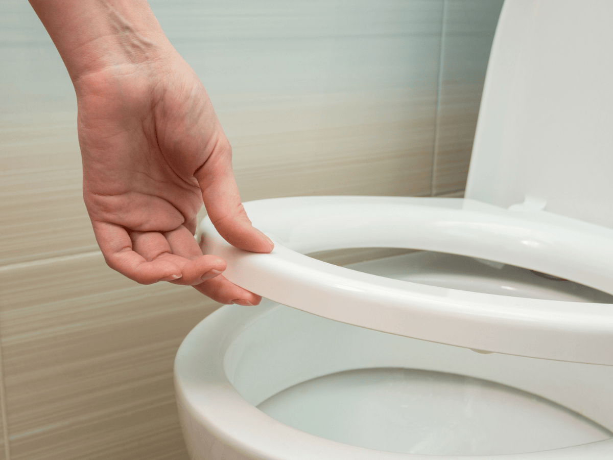 How much does it cost to repair a toilet seat? [January 2026]