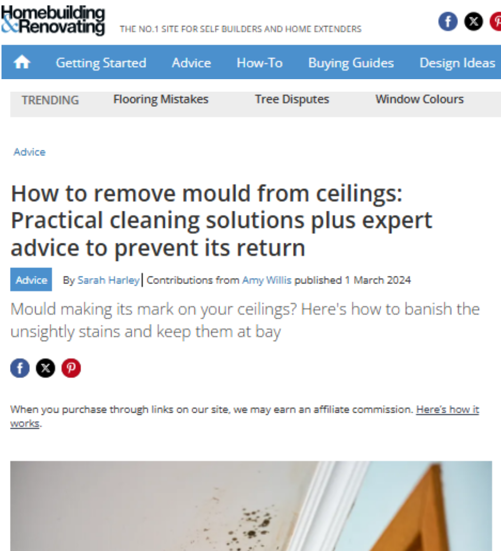 Homebuilding & Renovating - How to remove mould from ceilings: Practical cleaning solutions plus expert advice to prevent it's return