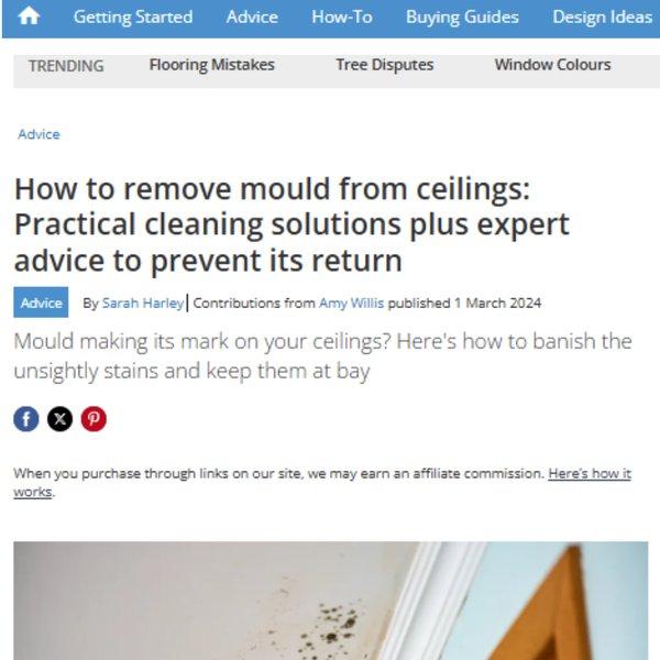 Homebuilding & Renovating - How to remove mould from ceilings: Practical cleaning solutions plus expert advice to prevent it's return