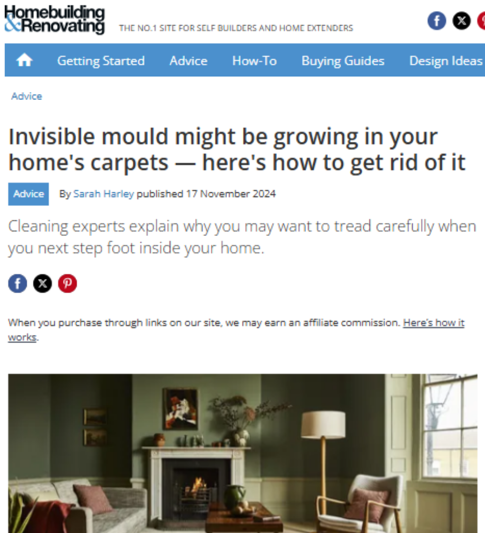 Homebuilding & Renovating - Invisible mould might be growing in your home's carpets - here's how to get rid of it