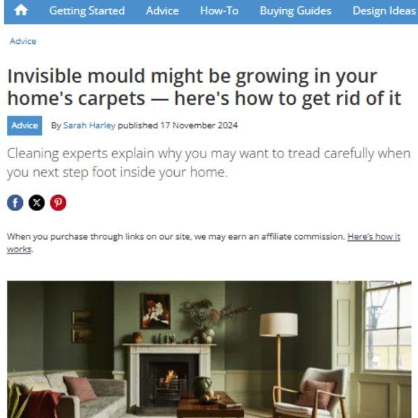 Homebuilding & Renovating - Invisible mould might be growing in your home's carpets - here's how to get rid of it