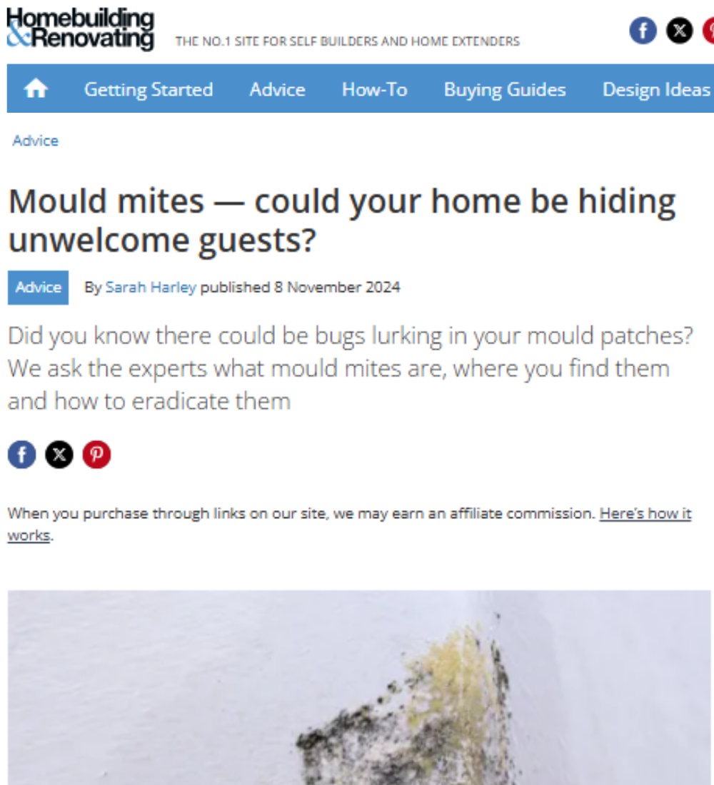 Homebuilding & Renovating - Mould mites - could your home be hiding unwelcome guests?