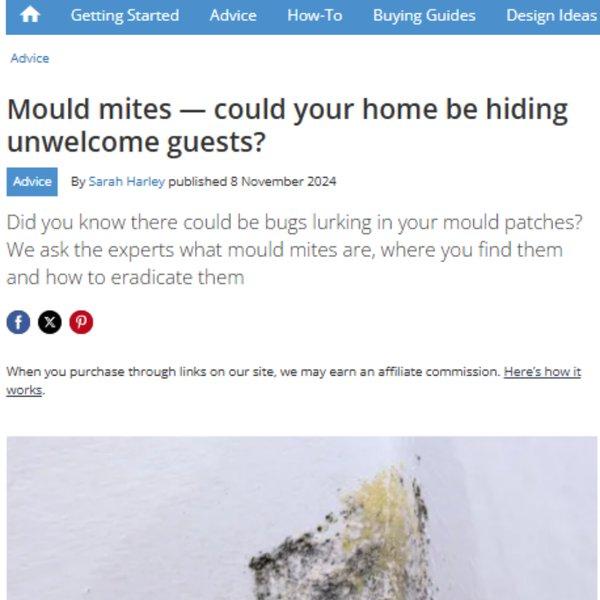 Homebuilding & Renovating - Mould mites - could your home be hiding unwelcome guests?
