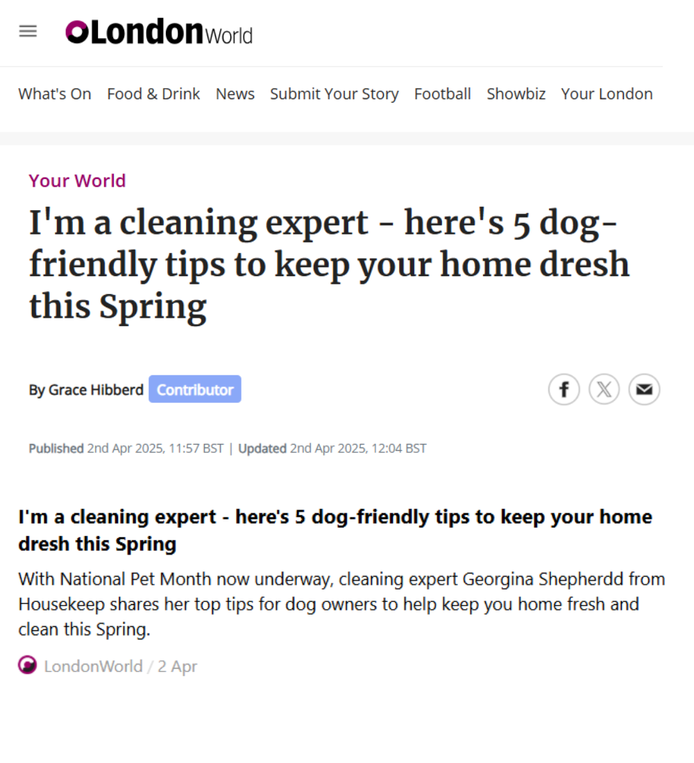 London World - I'm a cleaning expert - here's 5 dog friendly cleaning tips to keep your home fresh this spring