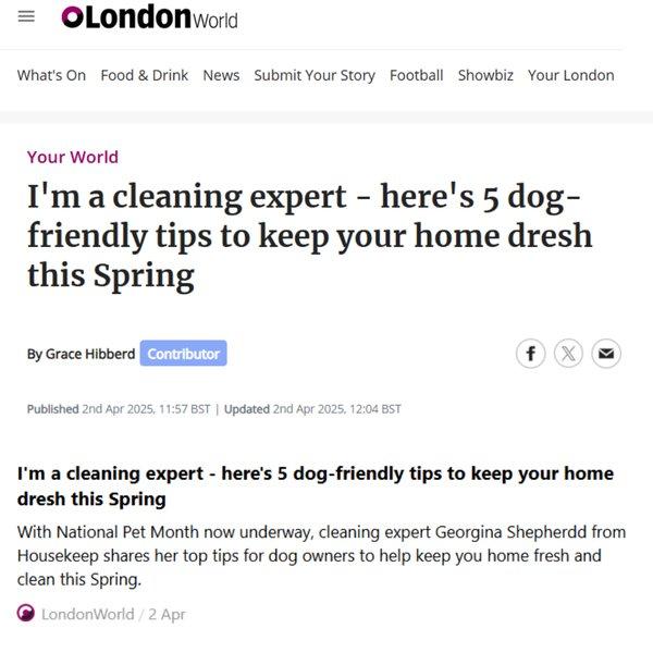 London World - I'm a cleaning expert - here's 5 dog friendly cleaning tips to keep your home fresh this spring