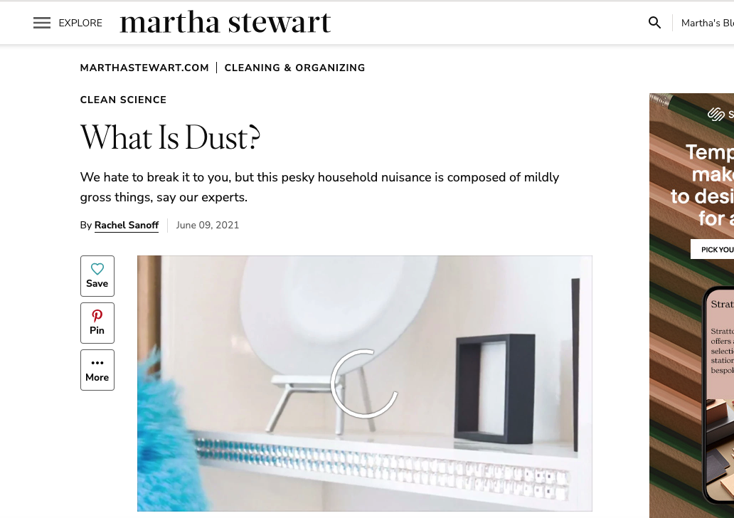 Martha Stewart - What is dust?