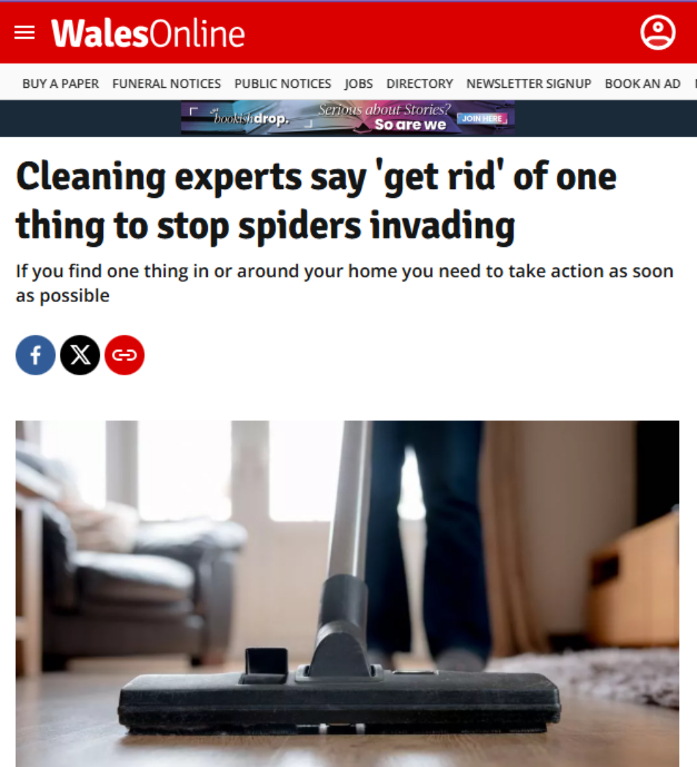 Wales Online - Cleaning experts say 'get rid' of one thing to stop spiders invading