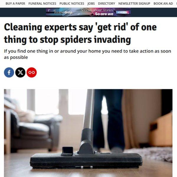 Wales Online - Cleaning experts say 'get rid' of one thing to stop spiders invading