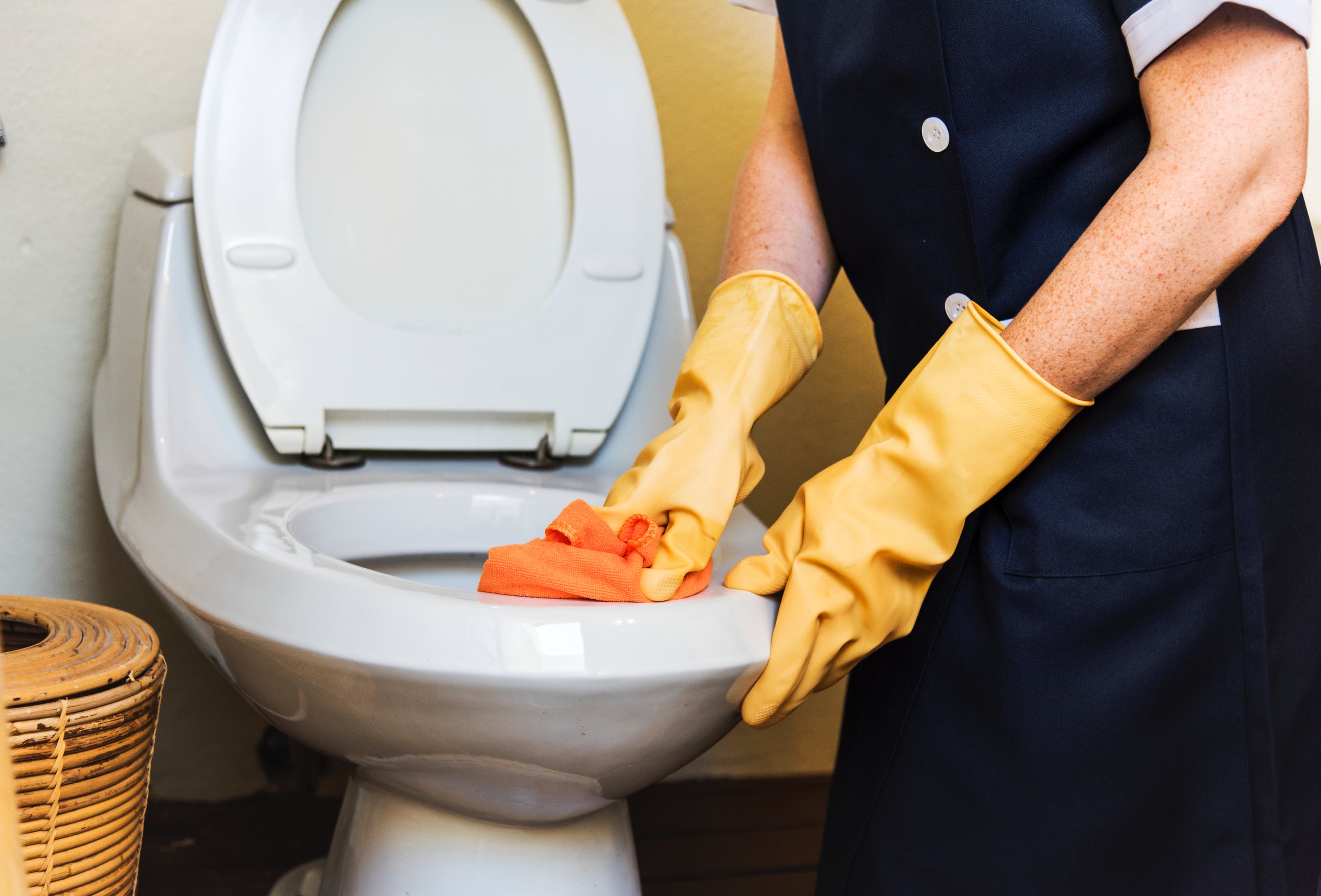 How to clean a toilet