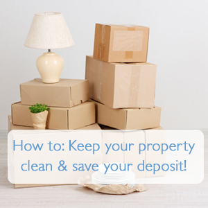 Housekeep How To: Clean your Rental Property