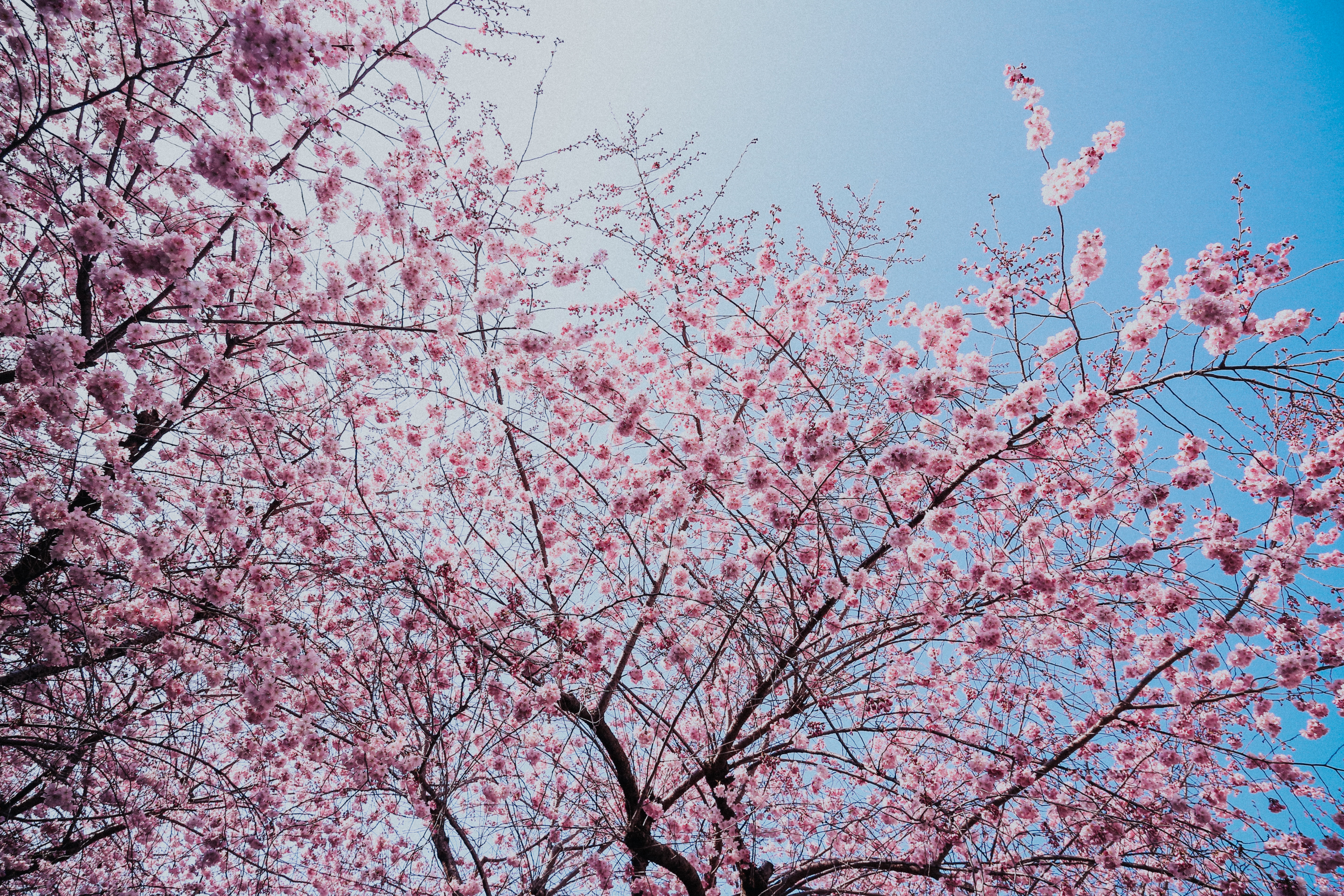 Housekeep's Spring Cleaning Must-Dos